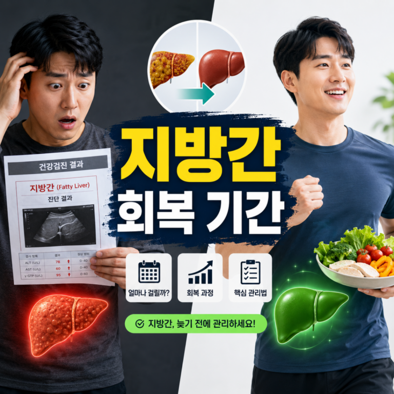 지방간 진단 후 치료와 회복 과정 비교 이미지
