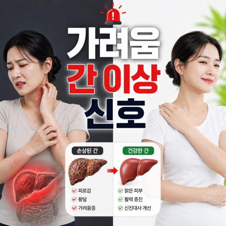 피부 가려움과 간 건강 이상 신호를 설명하는 건강 블로그 썸네일