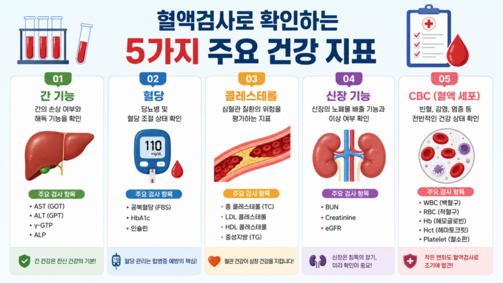 건강검진 결과에서 혈액검사를 확인해야 할 핵심 건강검진 항목 5가지 인포그래픽