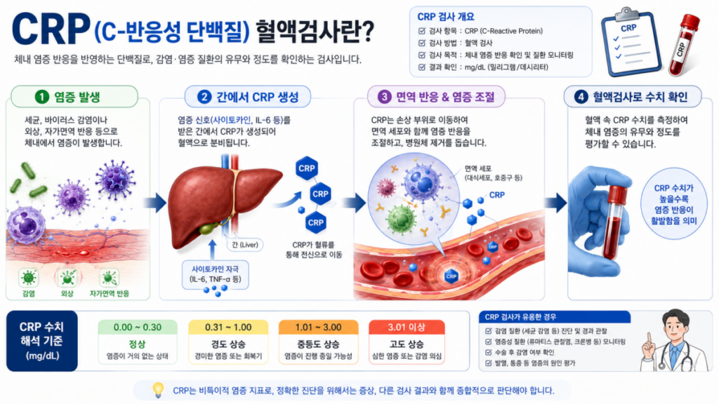 CRP 혈액검사와 염증 반응을 설명하는 의료 인포그래픽