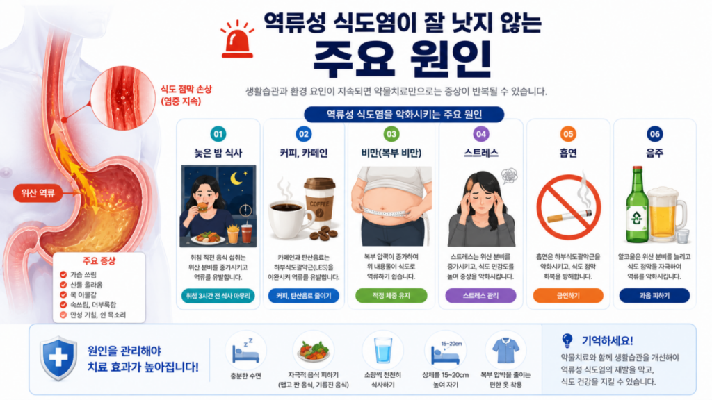 약을 복용해도 위산 역류가 반복되는 역류성 식도염 구조